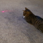 Zábava s laserovým ukazovátkem