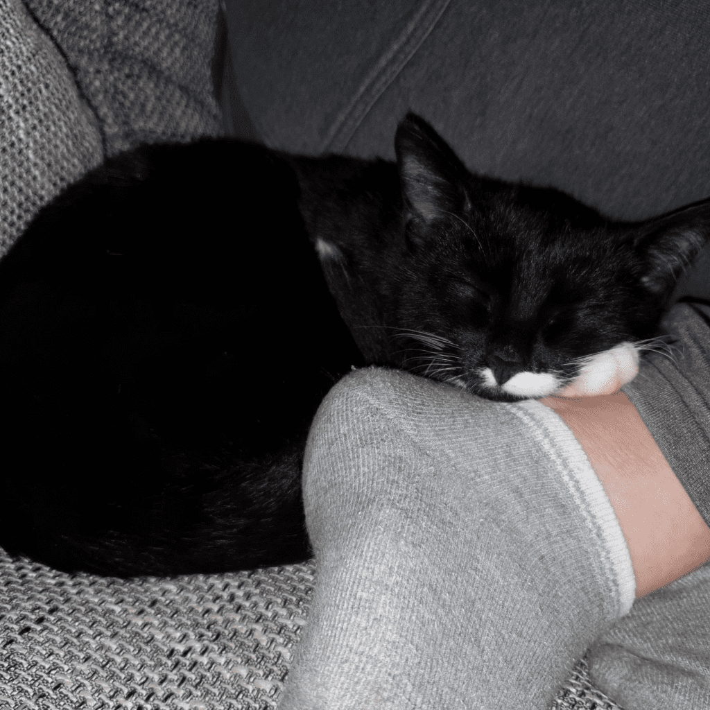 Manche Socken sind genießbar