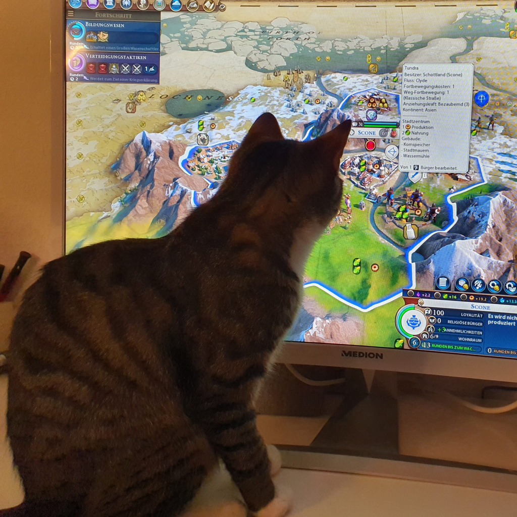 Murkel will wohl Civilization zocken?