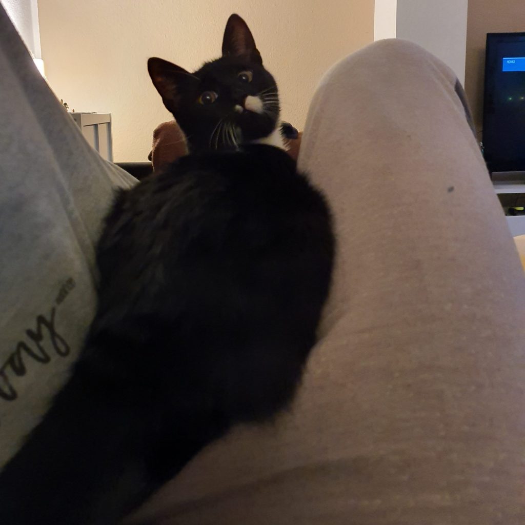 Wat´n? Bin ick zu schwer?