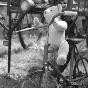 Teddy auf einem Fahrrad