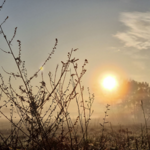 Východ slunce s obláčky mlhy - Falkensee březen 2021