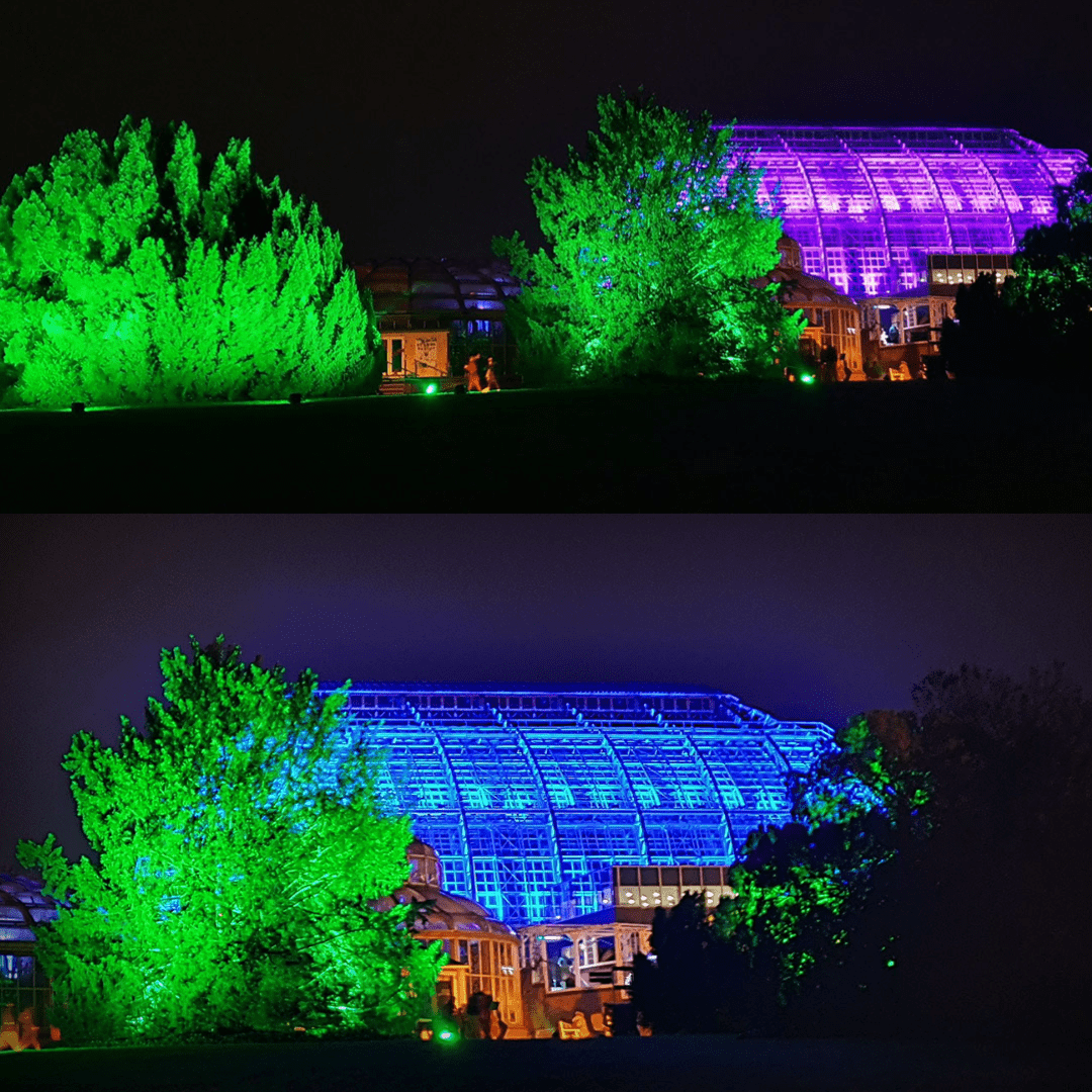 Christmas Garden 2019 – #1