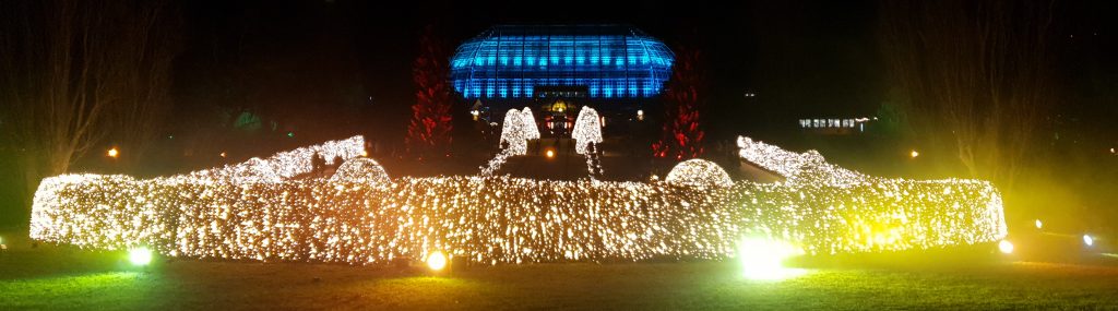 Christmas Garden Botanischer Garten Berlin - Dezember 2019