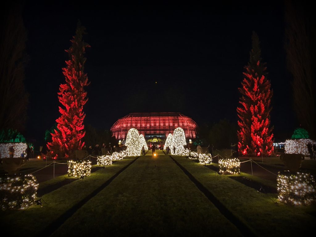 Коледна градина Ботаническа градина Берлин - декември 2019 г