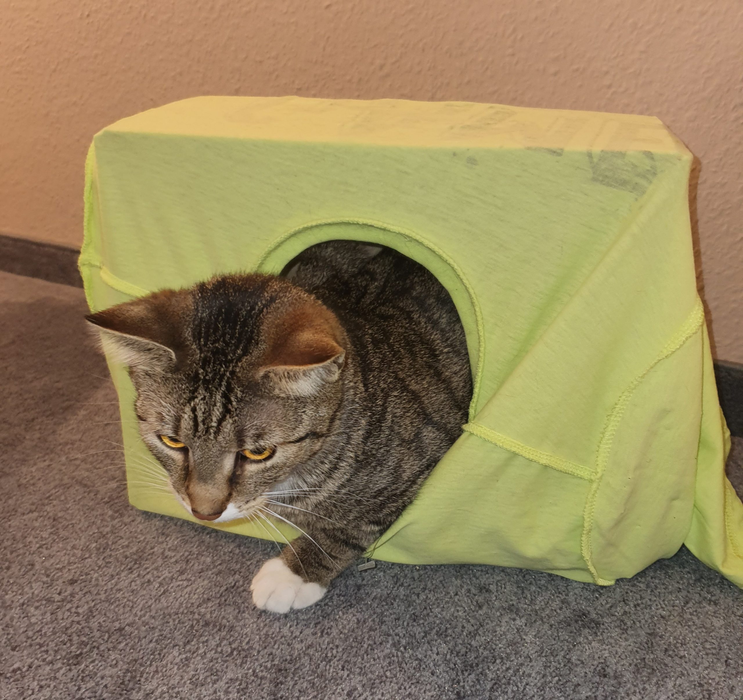 Einfache Katzenhöhle - Karton, Loch und altes T-Shirt