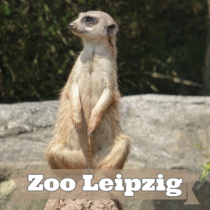 Zoo Lipsko