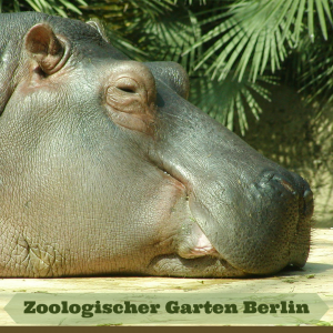 Berlínská zoologická zahrada
