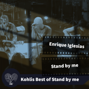Enrique Iglesias Stand by me (live)