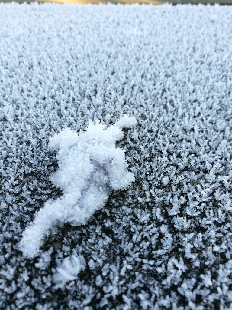 Frostaufnahmen Dezember 2016