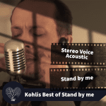 Stereo Voice Acoustics Stand by me