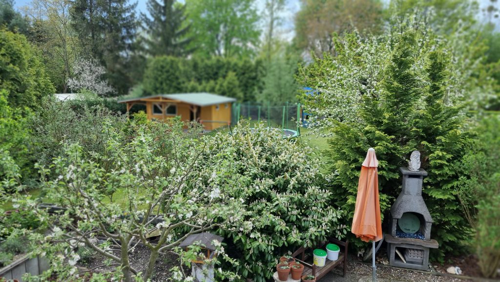 Viel Grün im Garten Mai 2021