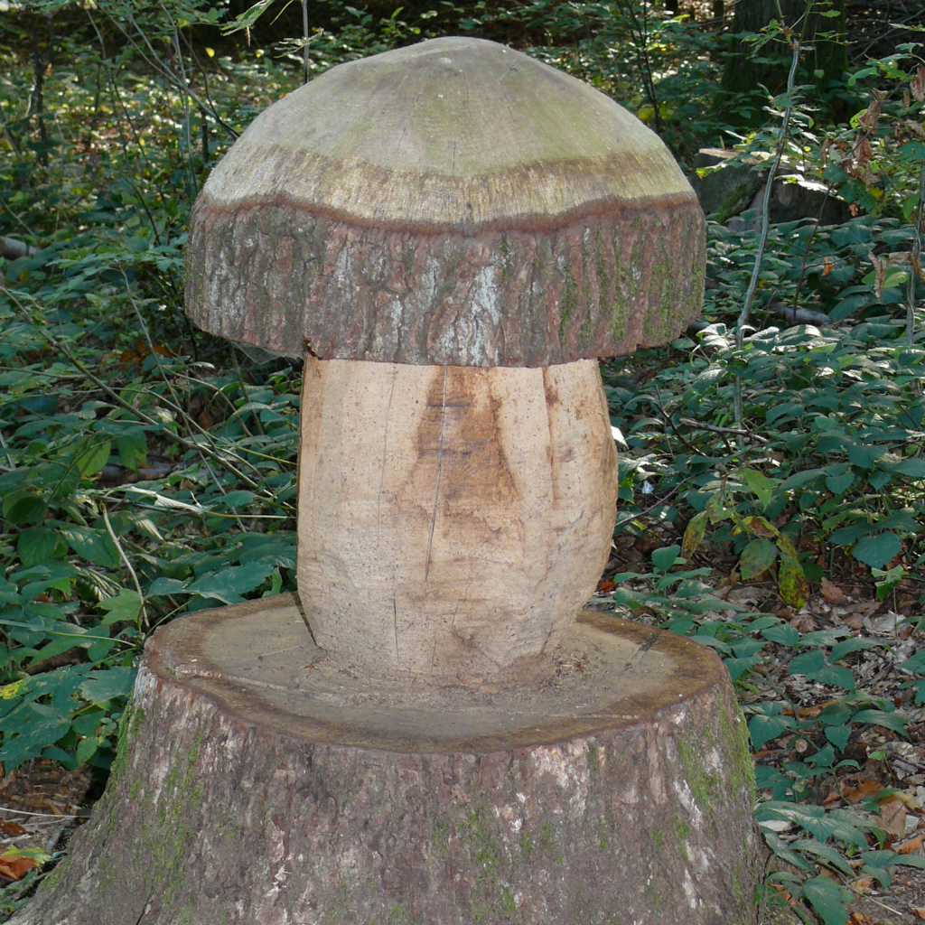 Dřevěná houba na pařezu v Saarschleife