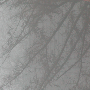 Nebel in Brieselang Januar 2001