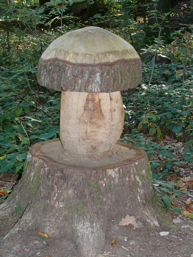 Holzpilz auf Baumstumpf an der Saarschleife