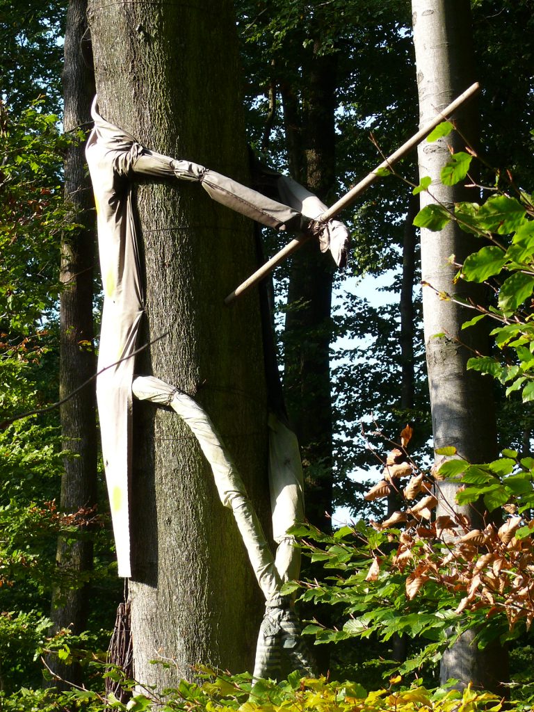 Hexe knallt gegen Baum an der Saarschleife