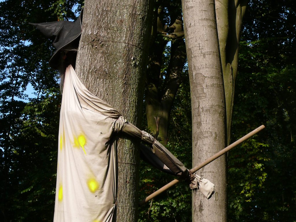Hexe knallt gegen Baum an der Saarschleife