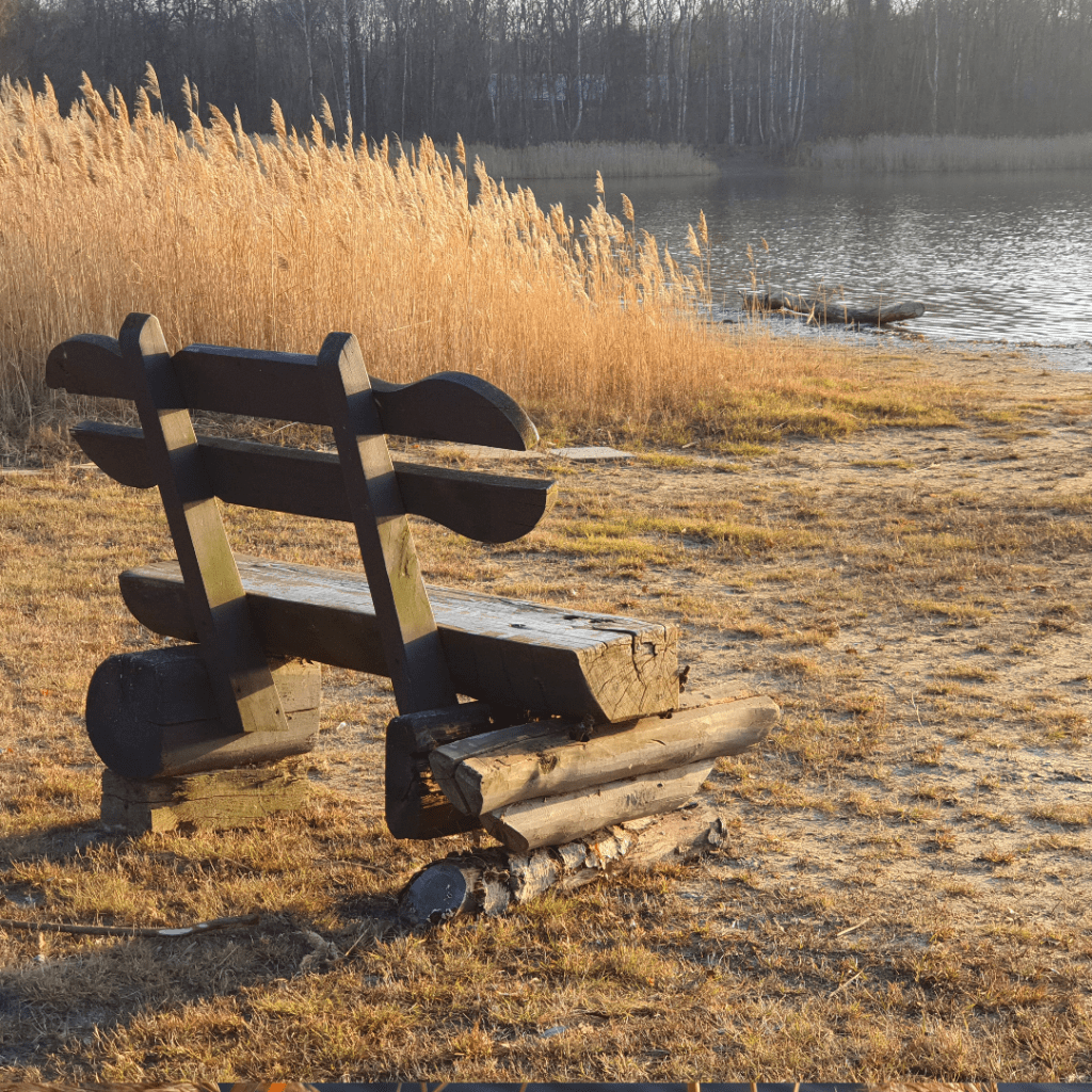 Houten bankje aan de Nymphensee januari 2020