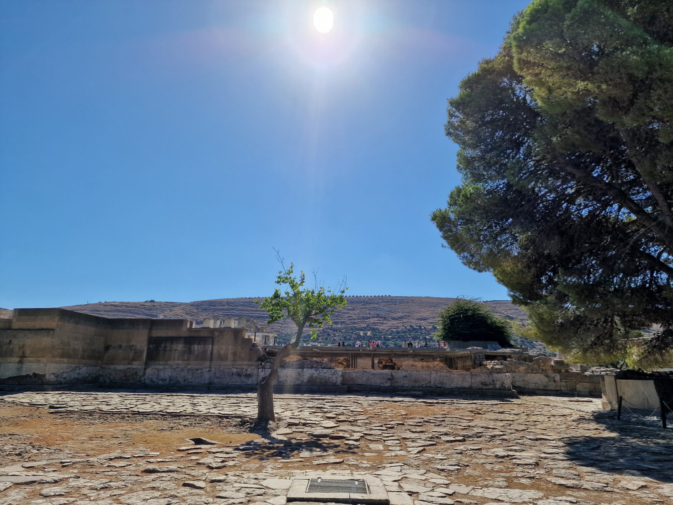 Baum im Palast von Knossos
