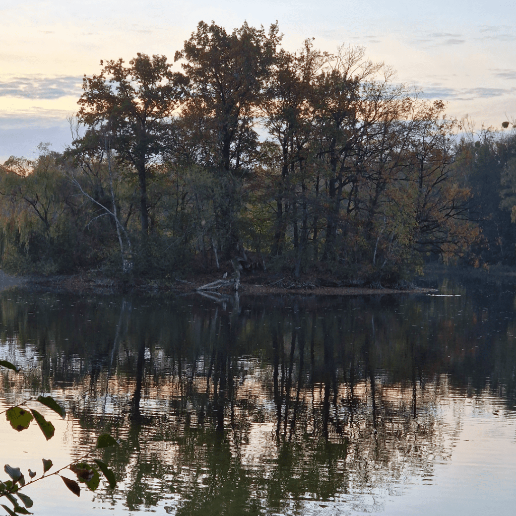 Blick auf den Nymphensee