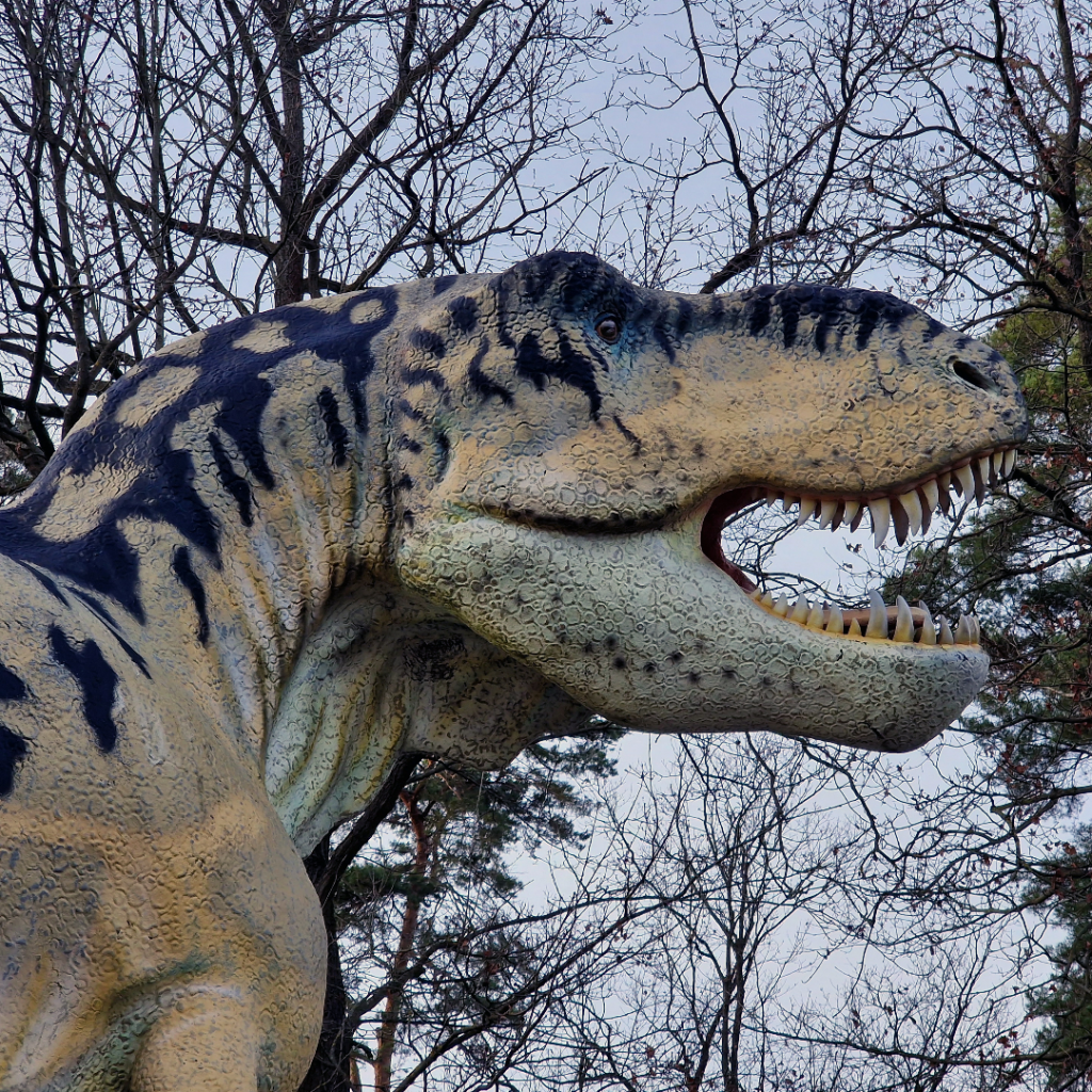 T-Rex (Tierpark Germendorf diciembre de 2022)