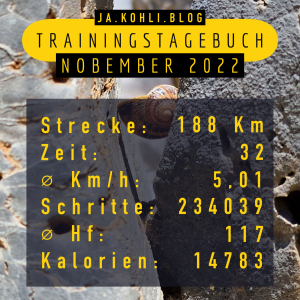 Jakohli 2022 - тренировъчен дневник ноември 2022 г
