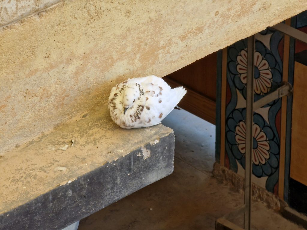 Palast von Knossos - Schlafgemächer
