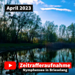 Timelapse на Нимфензи април 2023 г