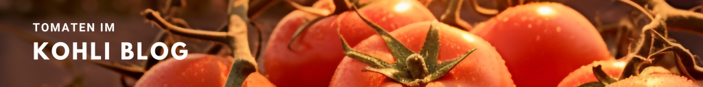 Tomater i Kohli-bloggen