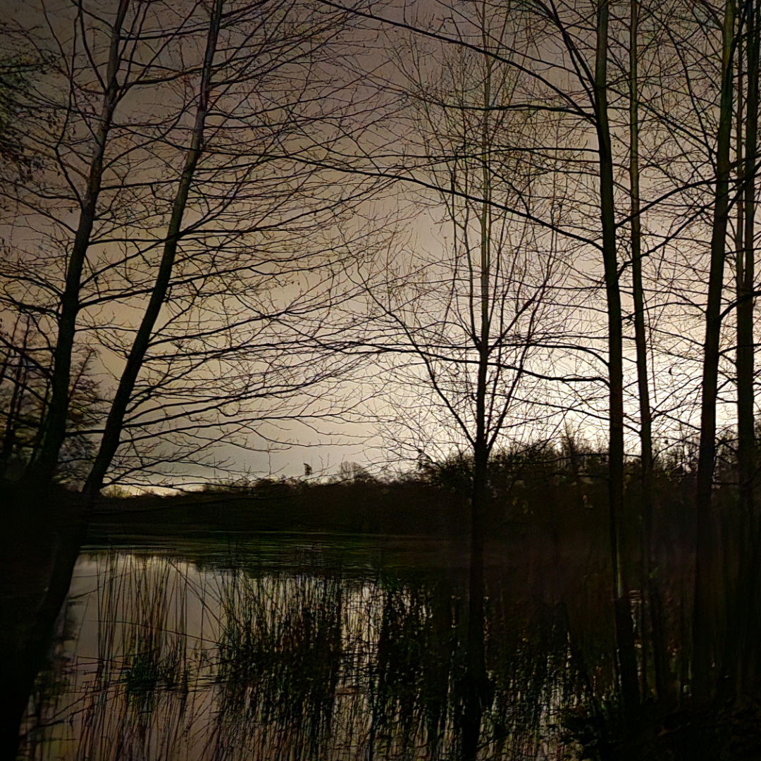 ニンフェン湖の夜の雰囲気（2024年XNUMX月）