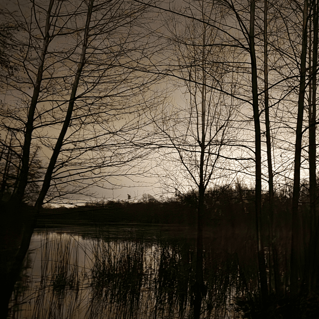 Večerní atmosféra v Nymphensee (leden 2024)