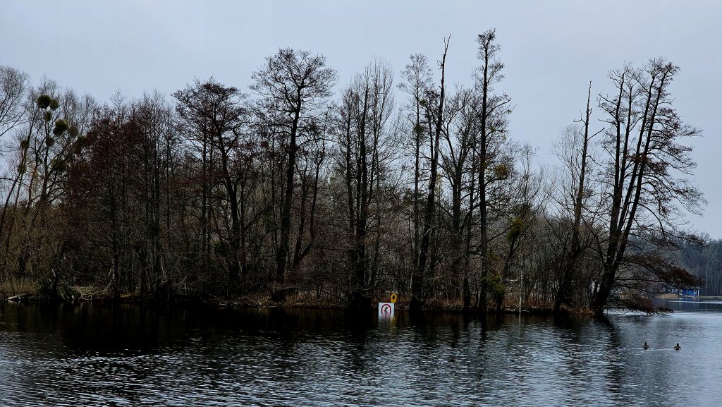 Nature conservation islands at Nymphensee are sinking (February 2024)
