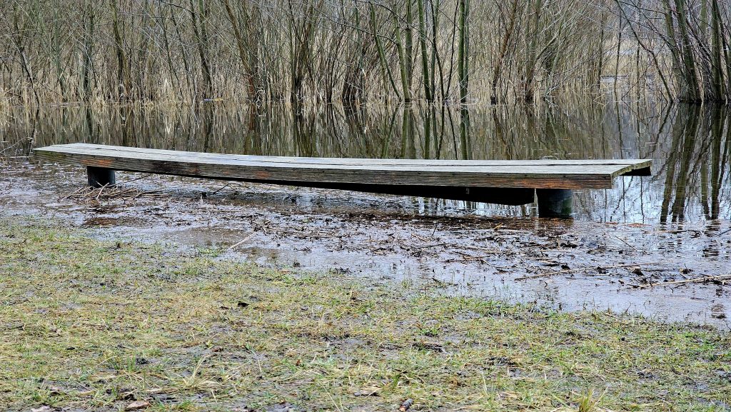 ニンフェン湖の水中のベンチ (2024 年 XNUMX 月)