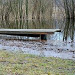 Bench under water at Nymphensee (February 2024)