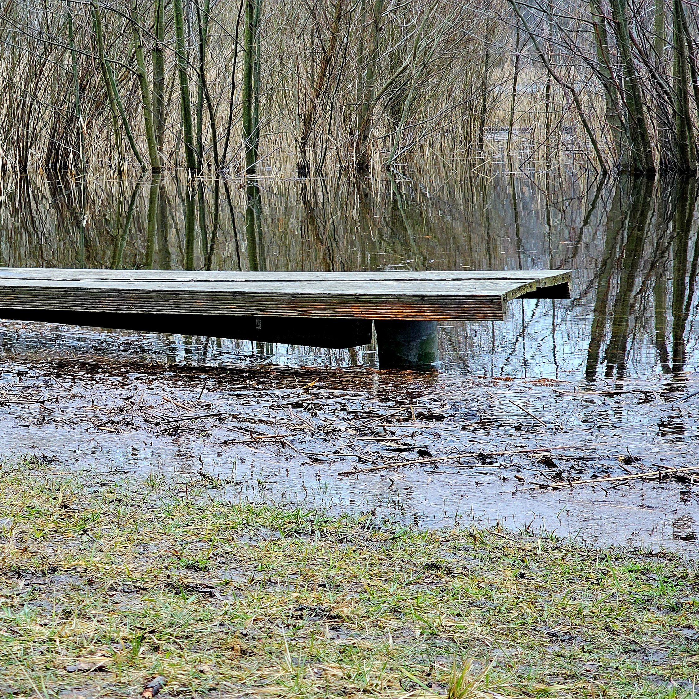 Sitzbank under water am Nymphensee (Februar 2024)