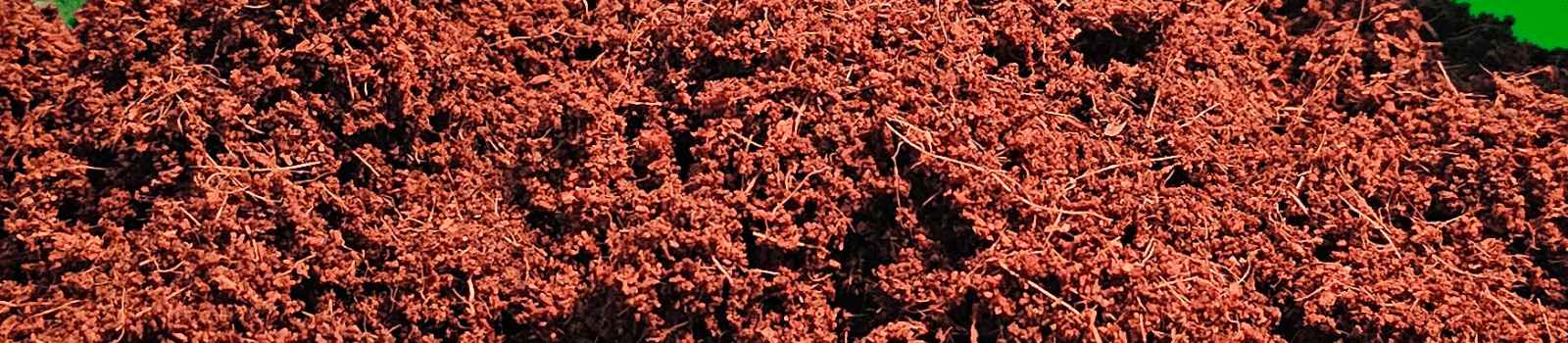 Kokosfaser als Blumenerde: Nachhaltig, Praktisch und Vielseitig